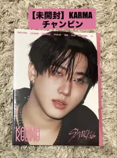 【新品未開封】スキズ　KARMA ACCORDION アコーディオン　チャンビン