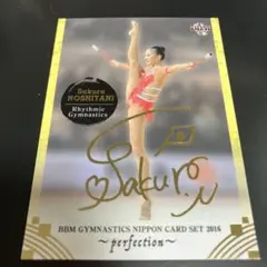 ミコリュウ様 リクエスト 5点 まとめ商品