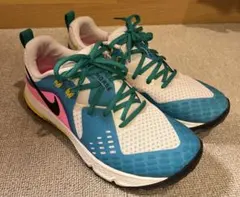 Item thumbnail for item 52504093-f0a8-4096-9591-a2c72c6c5601