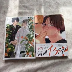 真崎ひかる 狛犬は赤い恋糸を結ぶ 小冊子 - メルカリ