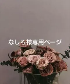 なしろ様専用ページ