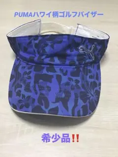 Item thumbnail for item 8caca333-ca84-44e6-ac44-dc966949b2b6