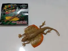 【未使用】　ジャングル&co. アンドコ　ジャワトビトカゲ