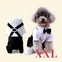 犬服　ペット服　子犬服　ペット衣装　結婚式　タキシード　XXLのサムネイル