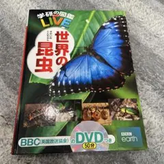 kt様 リクエスト 2点 まとめ商品