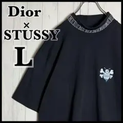DIOR× ステューシーポケット刺繍bee 大人気コラボ tシャツ ブラック 