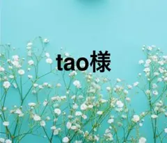 tao様専用出品になります。