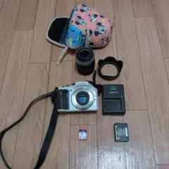 パナソニック　LUMIX DMC-G5