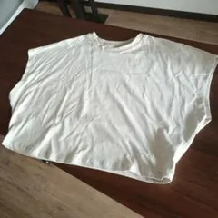 Item thumbnail for item 1d0daa77-c1f5-4d18-a6fb-d83230c03150