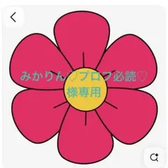 みかりん♡プロフ必読♡様専用