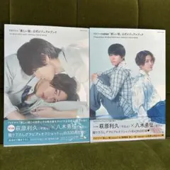 ✨2冊セット✨TVドラマ「美しい彼」公式ビジュアルブック TVドラマ 劇場版