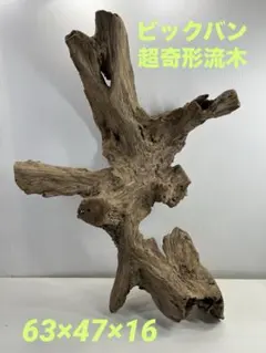 Item thumbnail for item 86144744-3e1e-476c-ba1f-36addd72b1b9