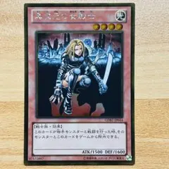 異次元の女戦士 - メルカリ