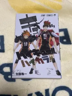 ハイキュー ハイカラ 公式カラーイラスト集