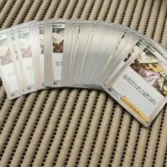 カトレア　s6K 50枚セット　1