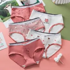 可愛い綿5枚セットレディース ショーツ下着