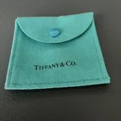 TIFFANY & Co. ジュエリーケース アクセサリーポーチ