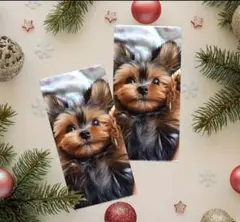 ヨークシャーテリア デザイン タオル 2枚セット 犬雑貨