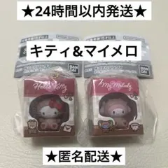 サンリオキャラクターズ ミニチュアパッケージコレクション　キティ　マイメロ　2点