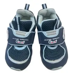 Item thumbnail for item f1b6f95f-127e-419f-aba5-297413eb2a2a