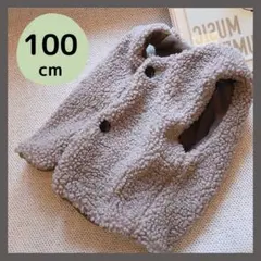 ボアベスト ベスト 上着 キッズ 100 男の子 女の子 グレー 韓国 冬