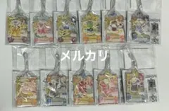 だれでもアイドル活動アクリルチャーム　11個セット