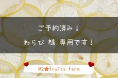 【ꕤ450】はるか『訳あり品』現品で終了‼ 熊本みかん（20kg） 選果落ち 訳あり品】熊本県産 はるか 約2㎏ 規格外 訳あり品 【003