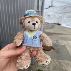ディズニー ダッフィー ぬいぐるみバッジ　美品　未使用限定価格　即購入OK