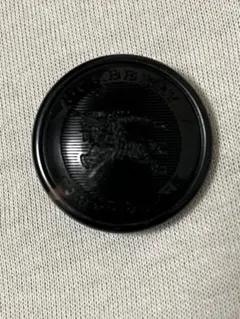 Item thumbnail for item a7c1f521-3a74-4454-bc36-dc821cbf3073