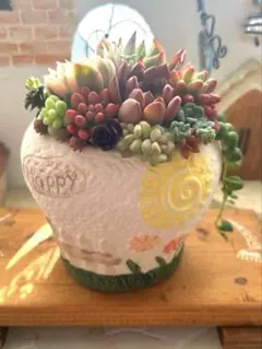レ*ド様 ❤️多肉植物そのまま飾れる❤️韓国鉢お花畑❤️
