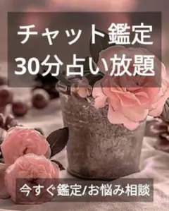 即購入可 タロット占い　お悩み相談　【　チャット鑑定　３０分　】