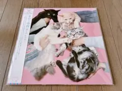 2026年最新】きのこ帝国 猫とアレルギーの人気アイテム - メルカリ