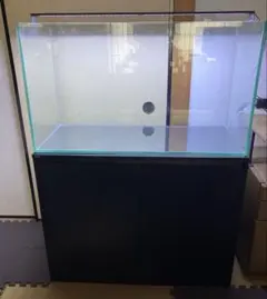 Bambi☆様専用 Red Sea REEFER 170 - メルカリ