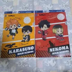 『爽×ハイキュー‼ 描きおこしイラスト A4サイズクリアファイル 2枚セット』