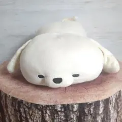 もふもふレンズ　チンのサムネイル