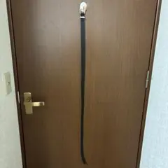 Tnewties ベルト