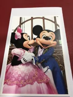 ディズニーリゾート 実写 ポストカード