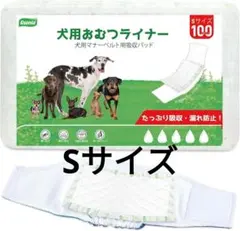 Item thumbnail for item f76685b7-42a6-471e-8e3a-0ee3ca21fc09