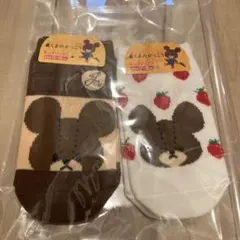 くまのがっこう　キッズ靴下 13〜18cm