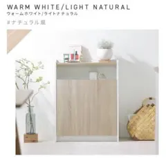 Item thumbnail for item 1c5b0c37-f886-4b2d-b611-8ac453d68f5f