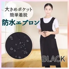 《新品》 エプロン ブラック 保育士 お洒落 大きめポケット 黒 作業用 飲食店