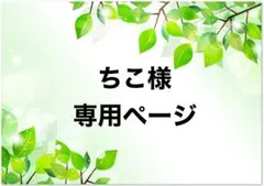 ちこ様　専用ページ