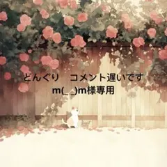 どんぐり　コメント遅いですm(_ _)m 様　専用