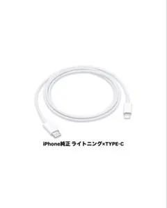iPhone 순정 라이트닝×TYPE-C 케이블