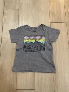 最終価格 patagoniaグレー Tシャツ 山デザイン 4t