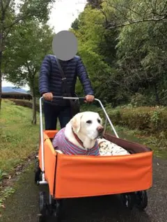 大型犬用 ペットカート オレンジ色のサムネイル
