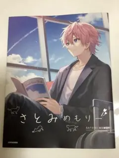 さとみめもりー