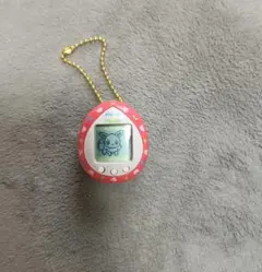 ポケットモンスター イーブイ たまごっちのサムネイル