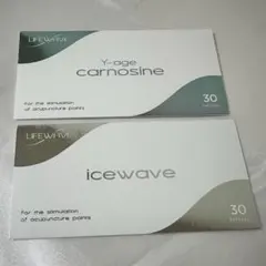 2025年最新】icewaveの人気アイテム - メルカリ