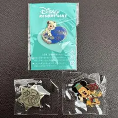 ディズニー25周年 リゾートライン、ミッキーピンバッジ グーフィバッチ